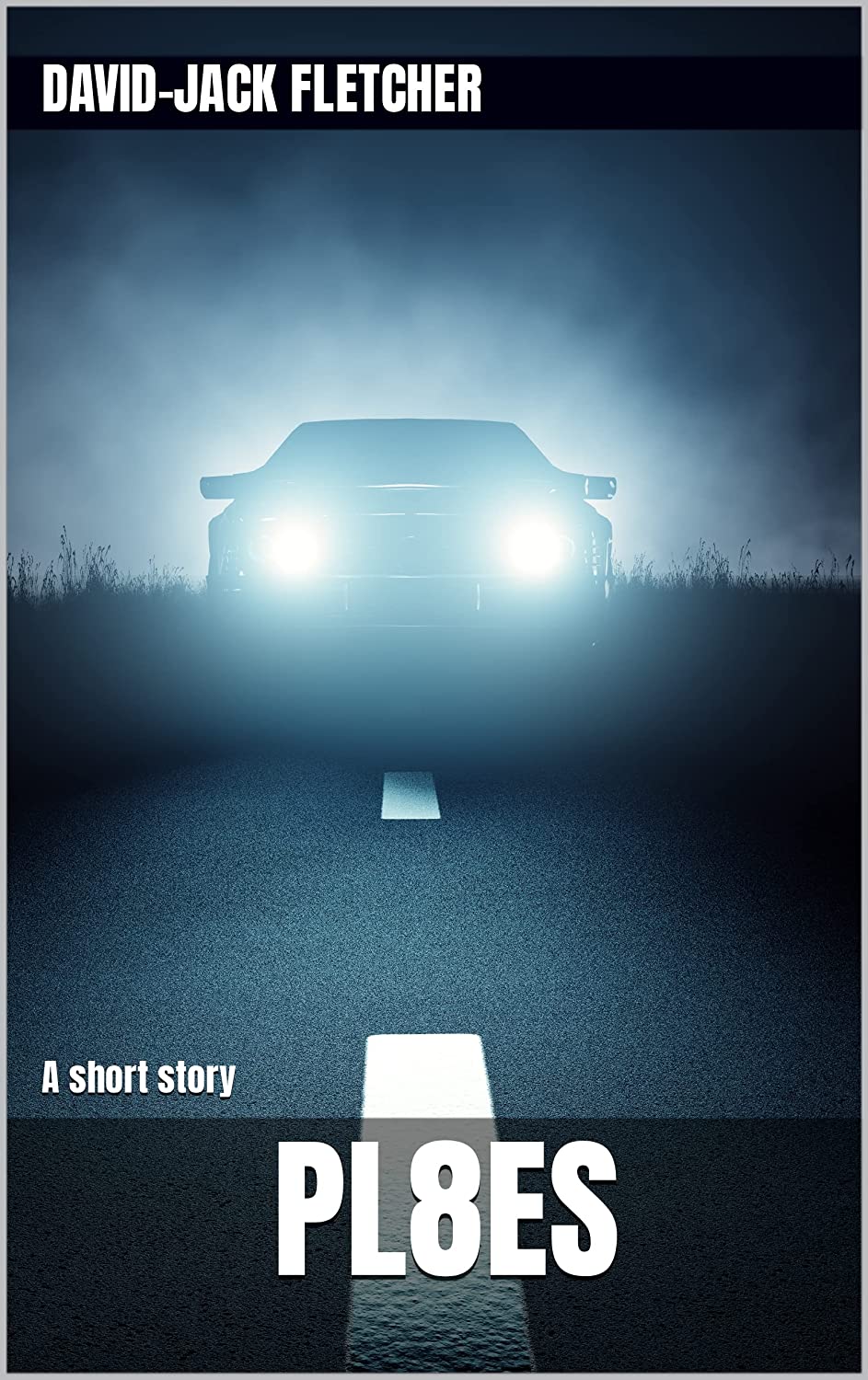PL8ES book cover