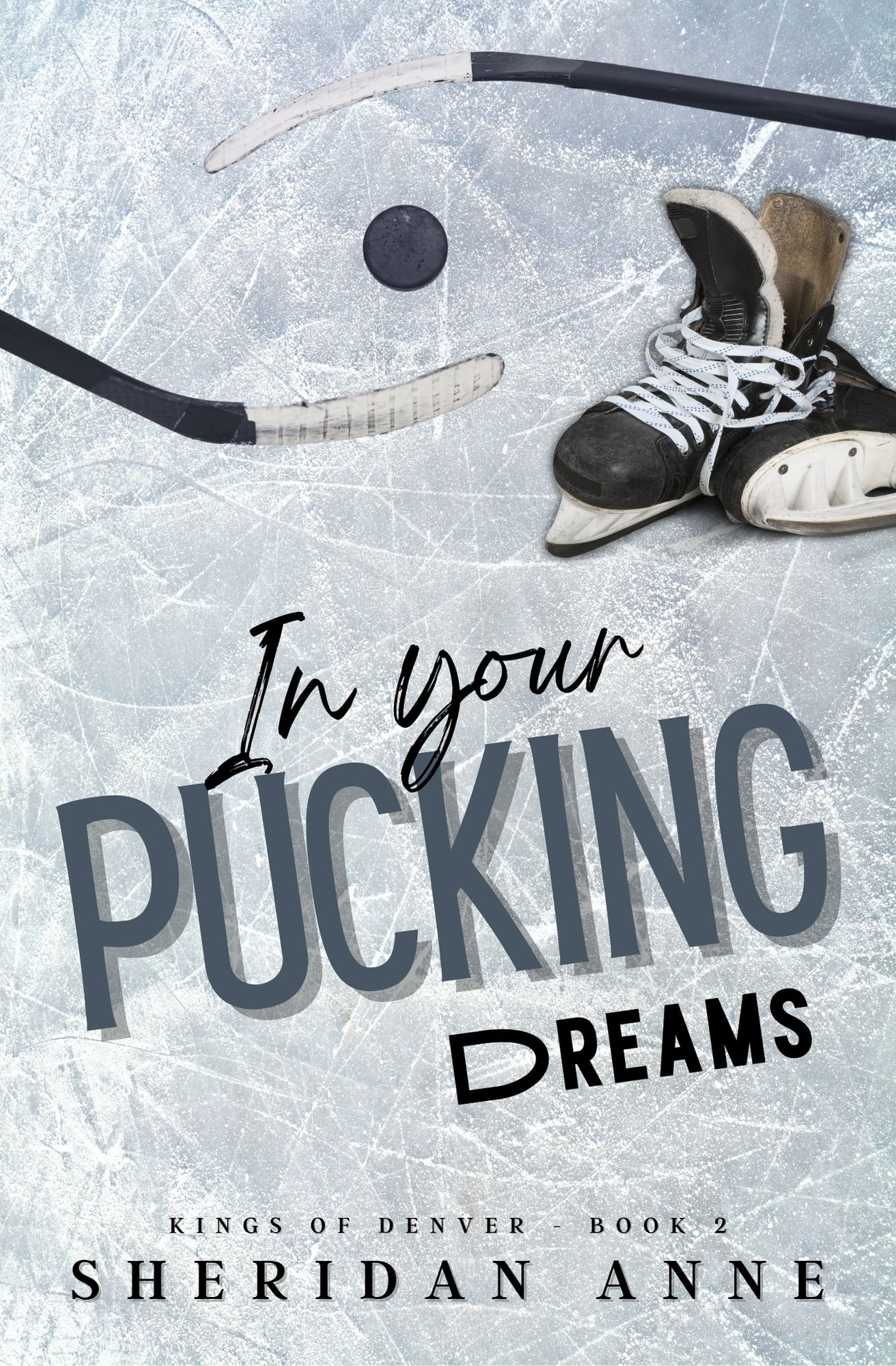 Kings of Denver book cover 2