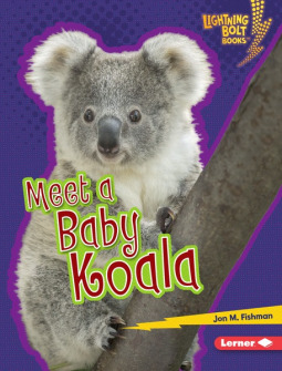 Meet a Baby Koala book cover