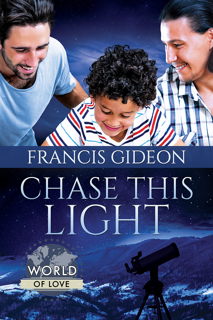 Chase This Light book cover