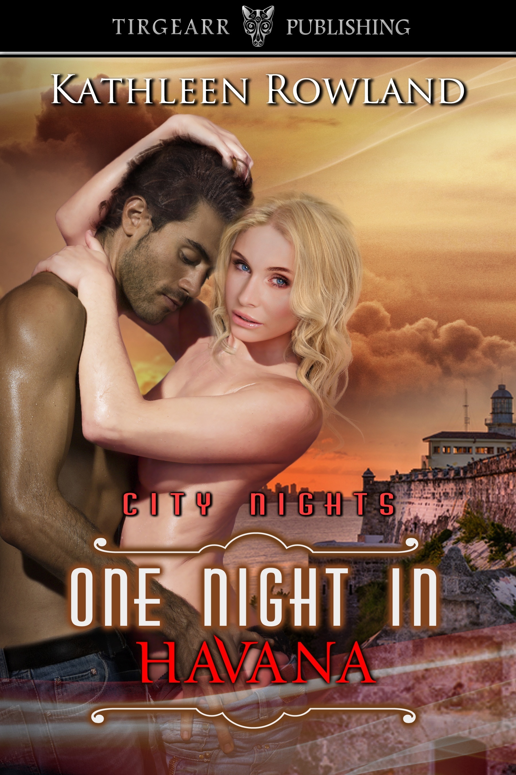 One Night in Havana book cover