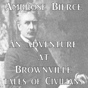 An Adventure at Brownville book cover