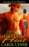 Australian book cover 1