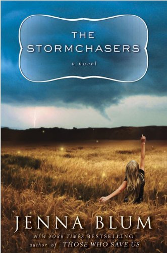 The Stormchasers book cover