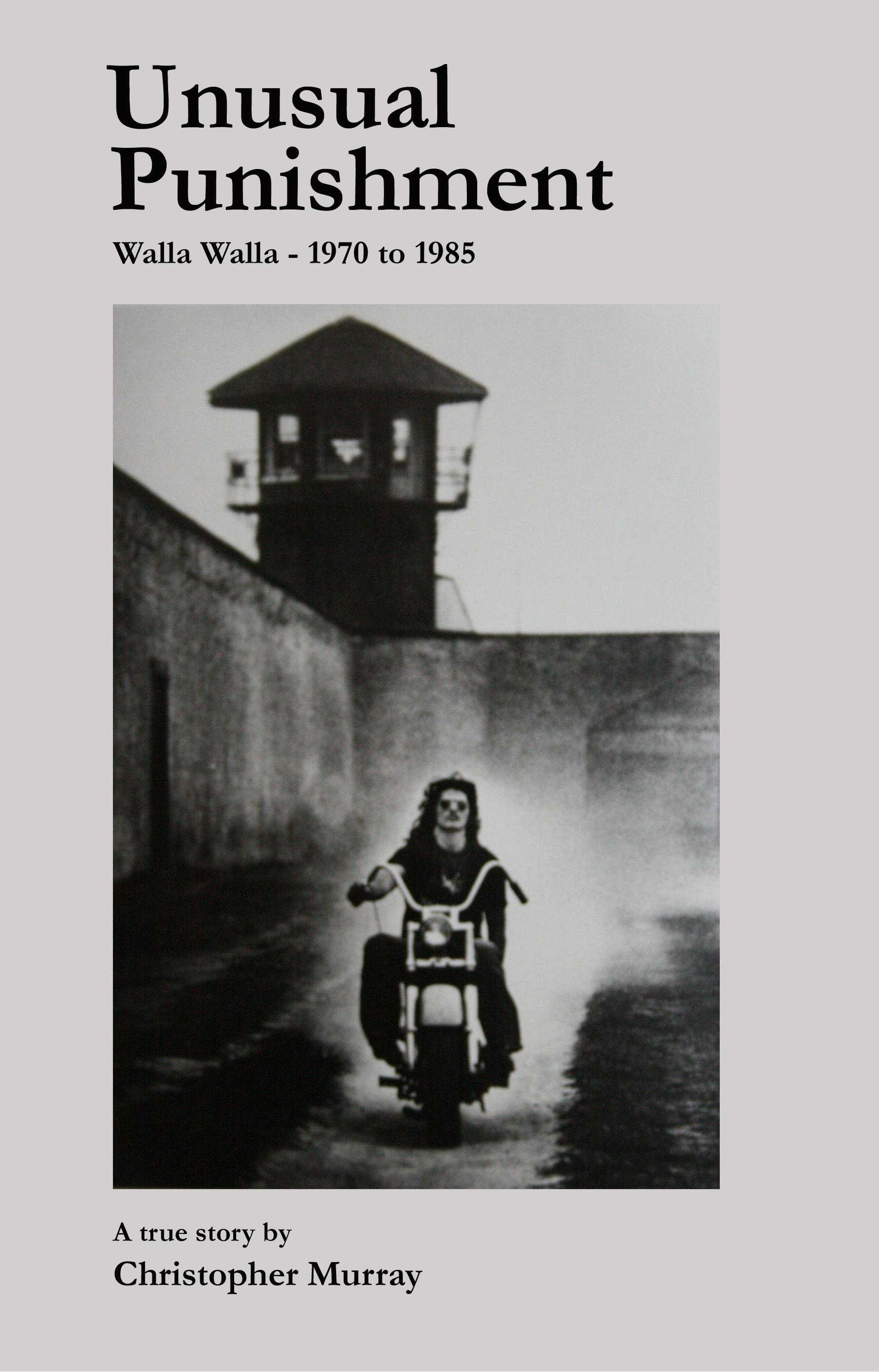 Unusual Punishment book cover