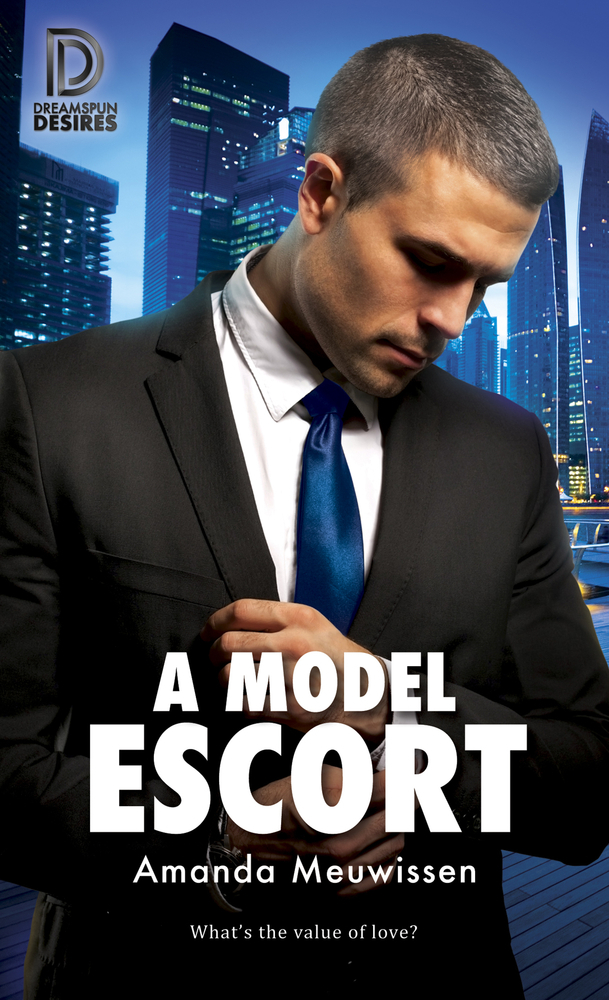 A Model Escort book cover