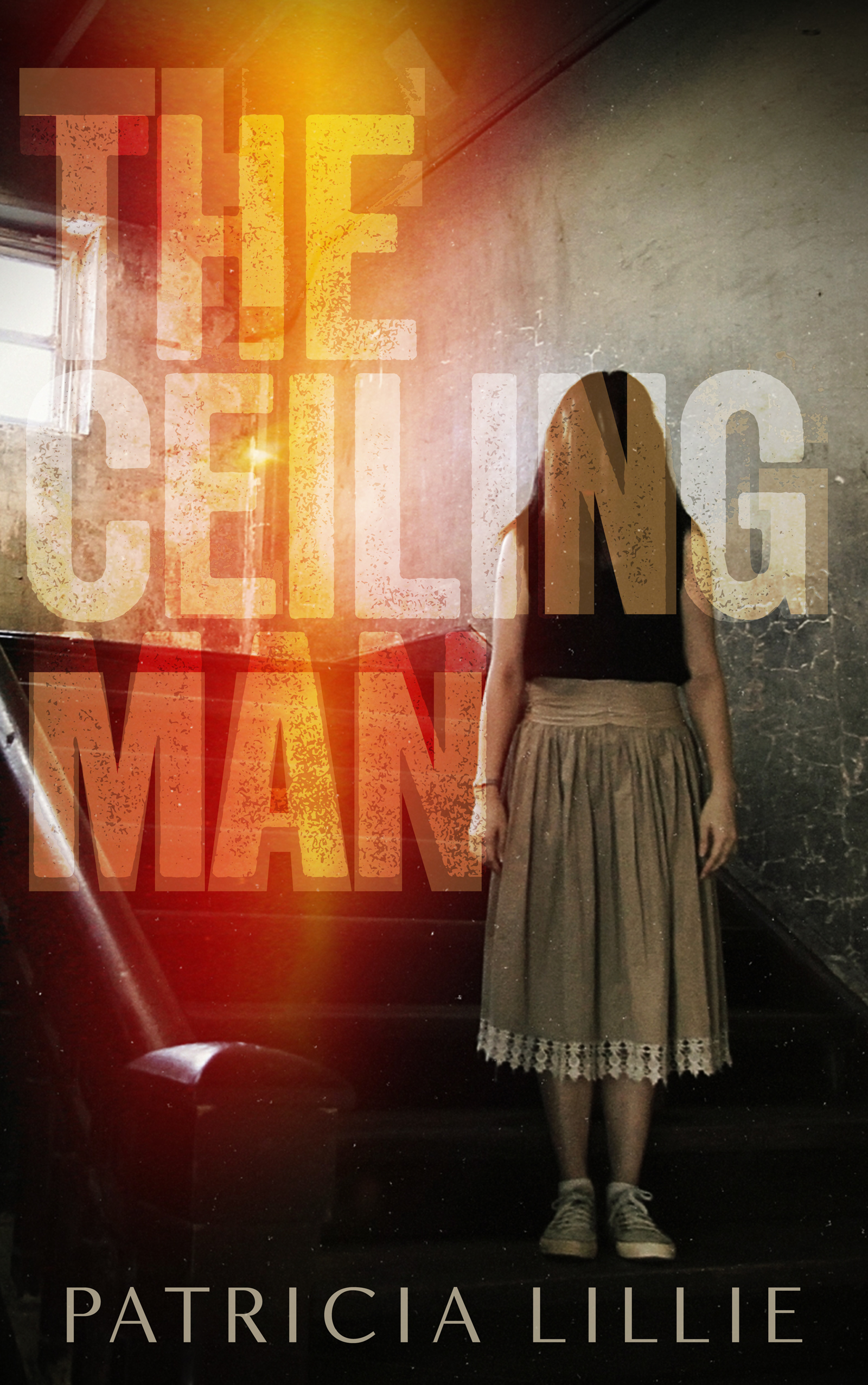 The Ceiling Man book cover