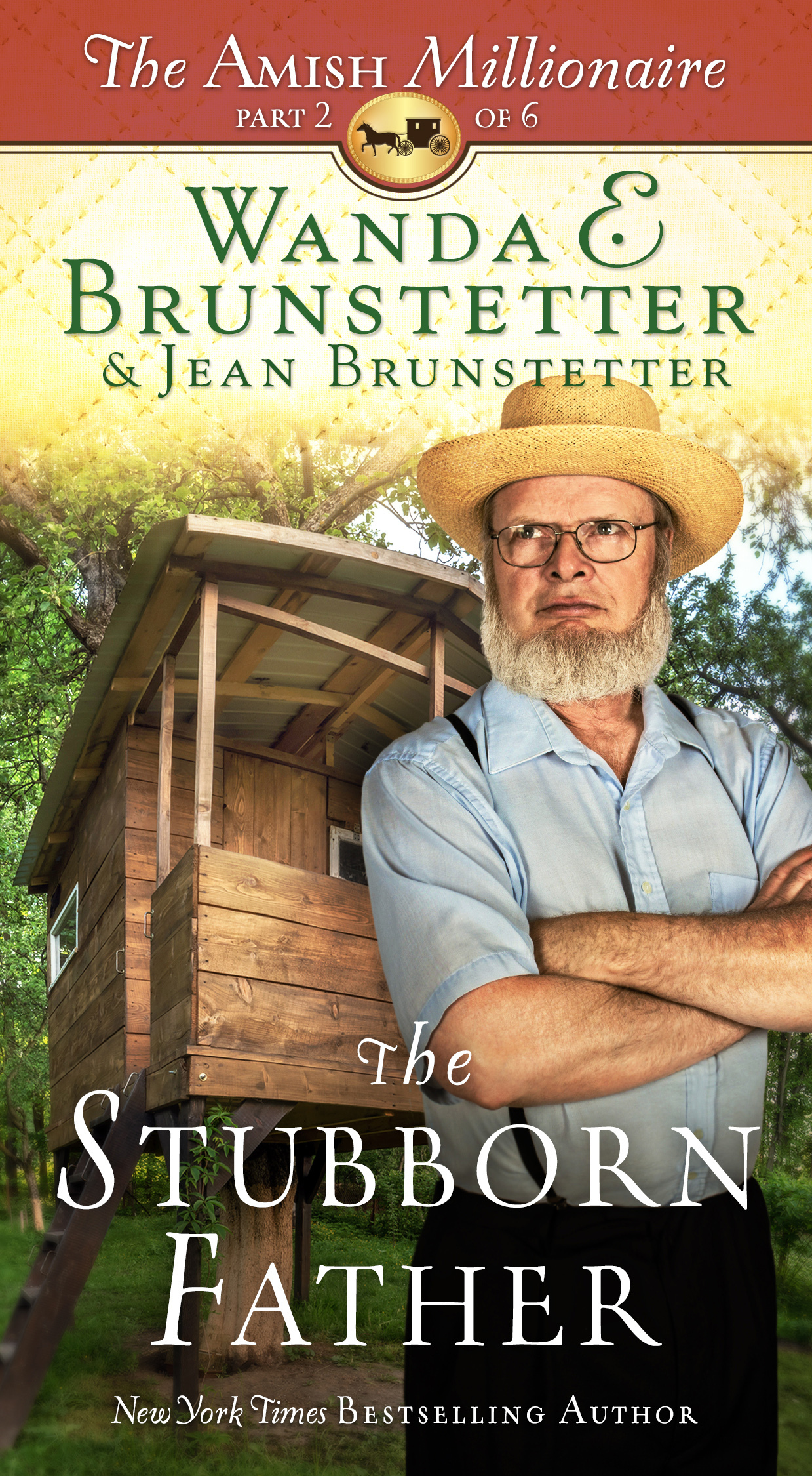 The Amish Millionaire book cover 2