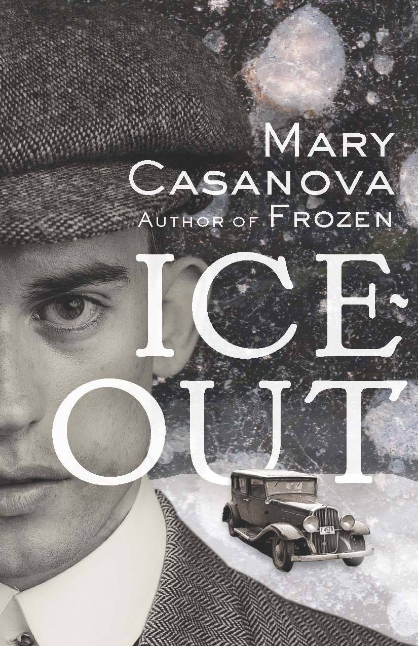 Ice-Out book cover