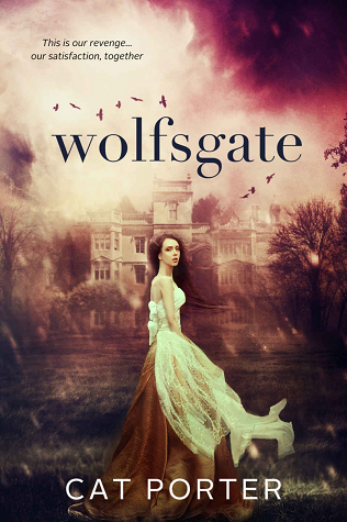 Unraveled Destiny book cover 1