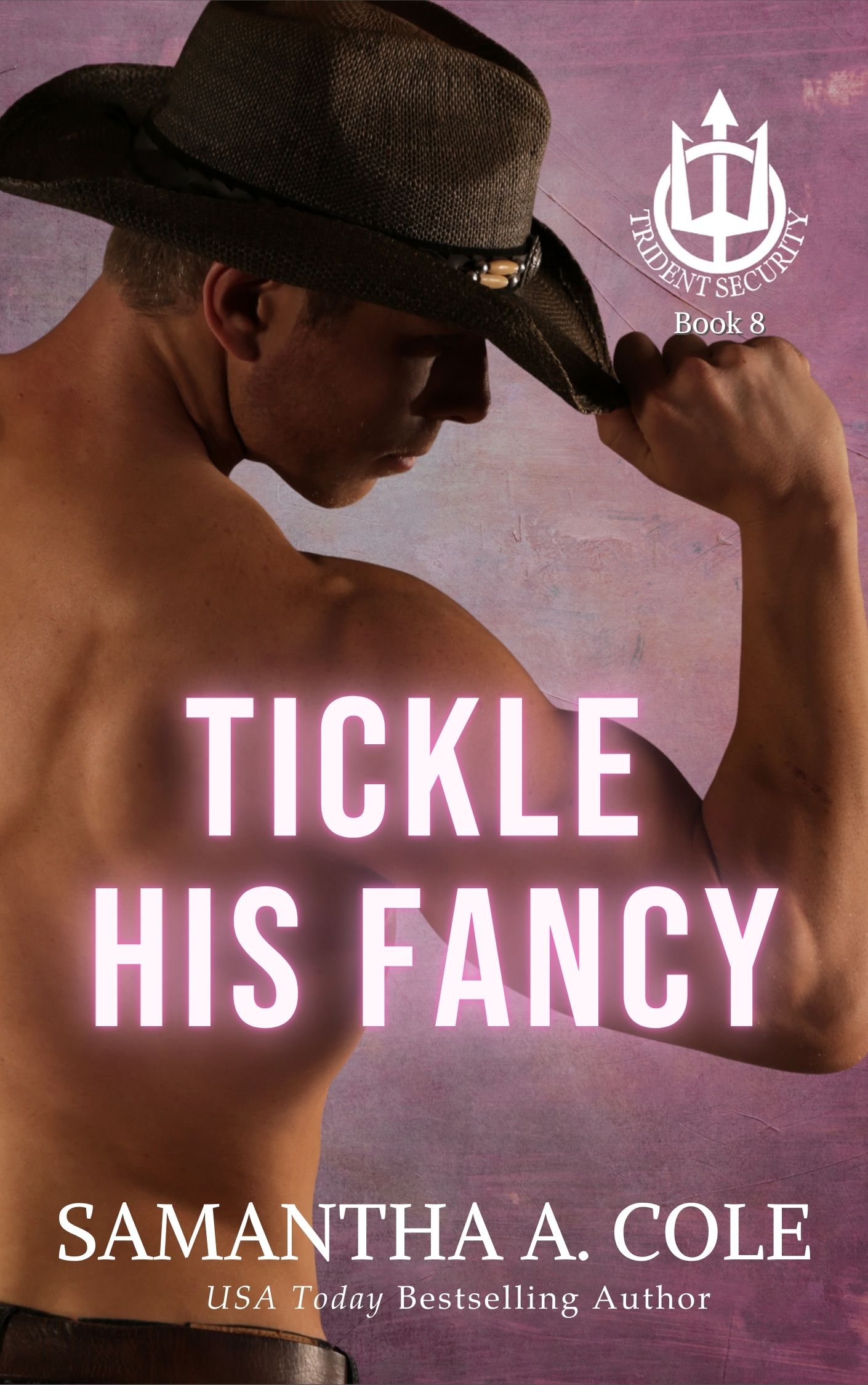 Tickle His Fancy book cover