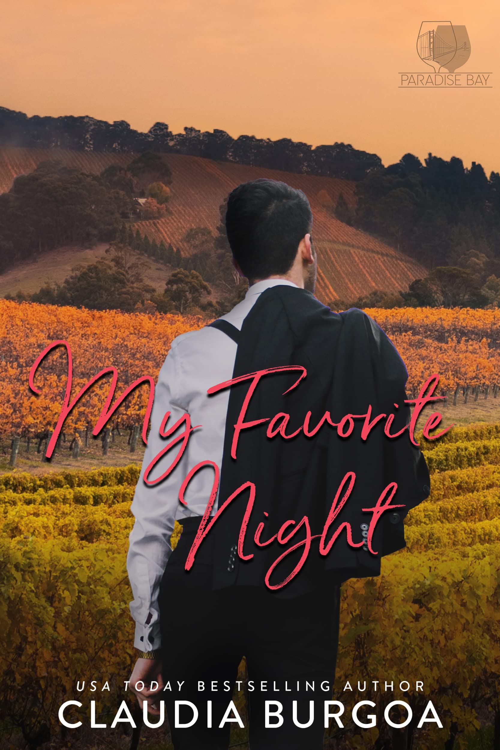 My Favorite Night book cover