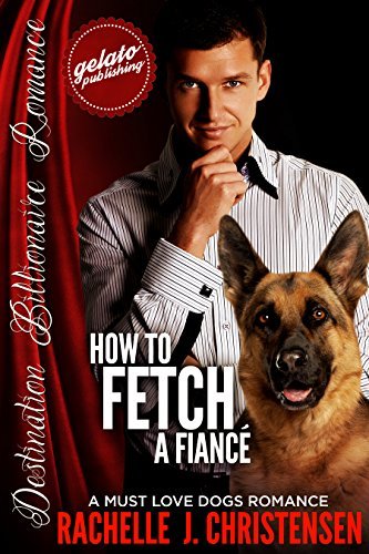 How to Fetch a Fiancé book cover