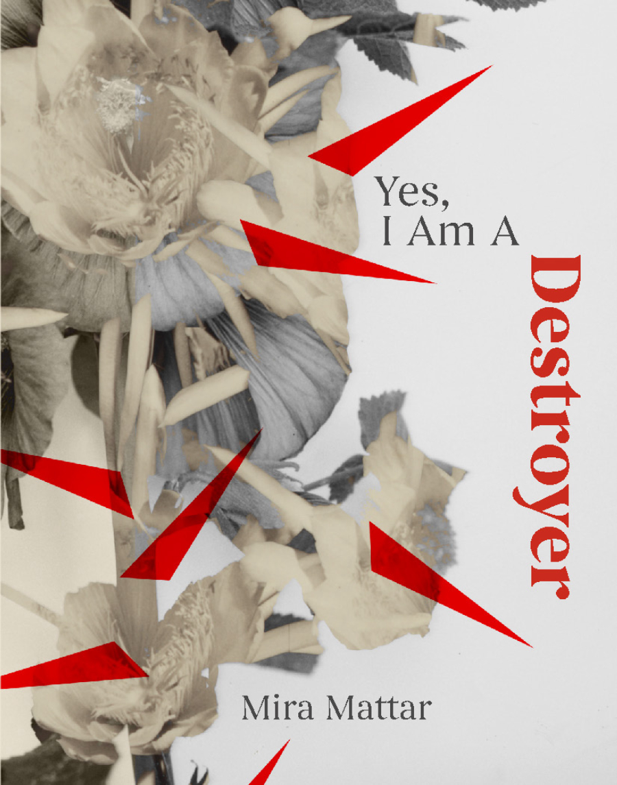 Yes, I Am A Destroyer book cover