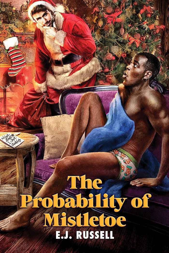The Probability of Mistletoe book cover