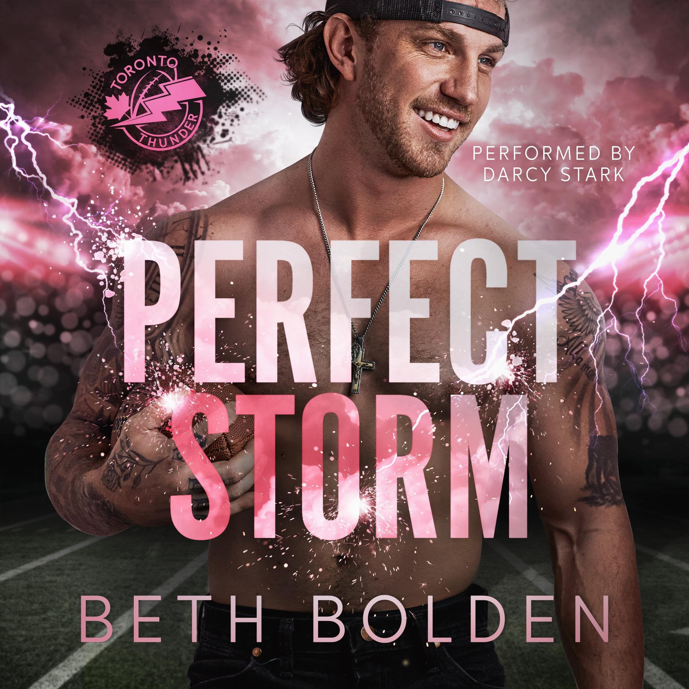 Perfect Storm book cover