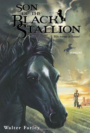 The Black Stallion book cover 3