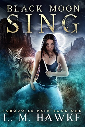 The Turquoise Path book cover 1