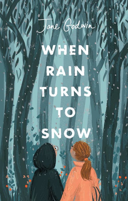 When Rain Turns to Snow book cover
