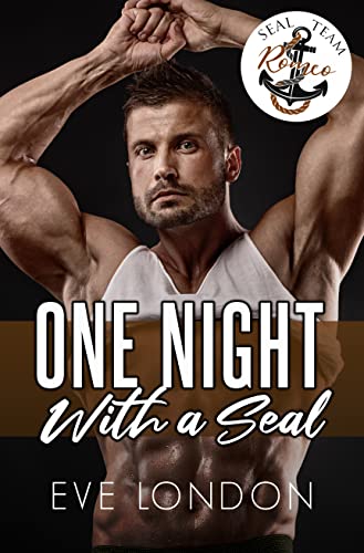 One Night with a SEAL book cover