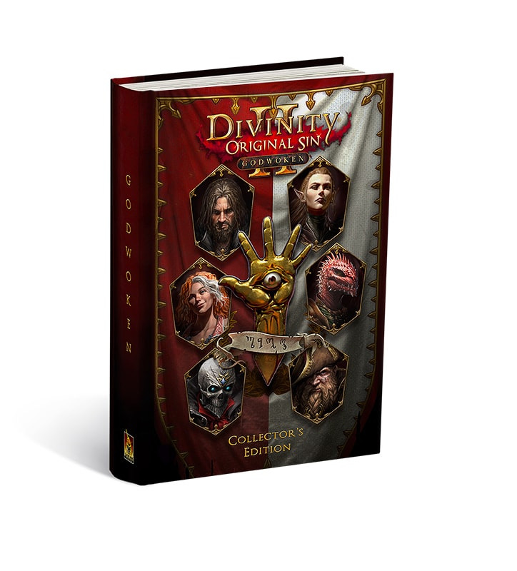 Divinity Original Sin II book cover