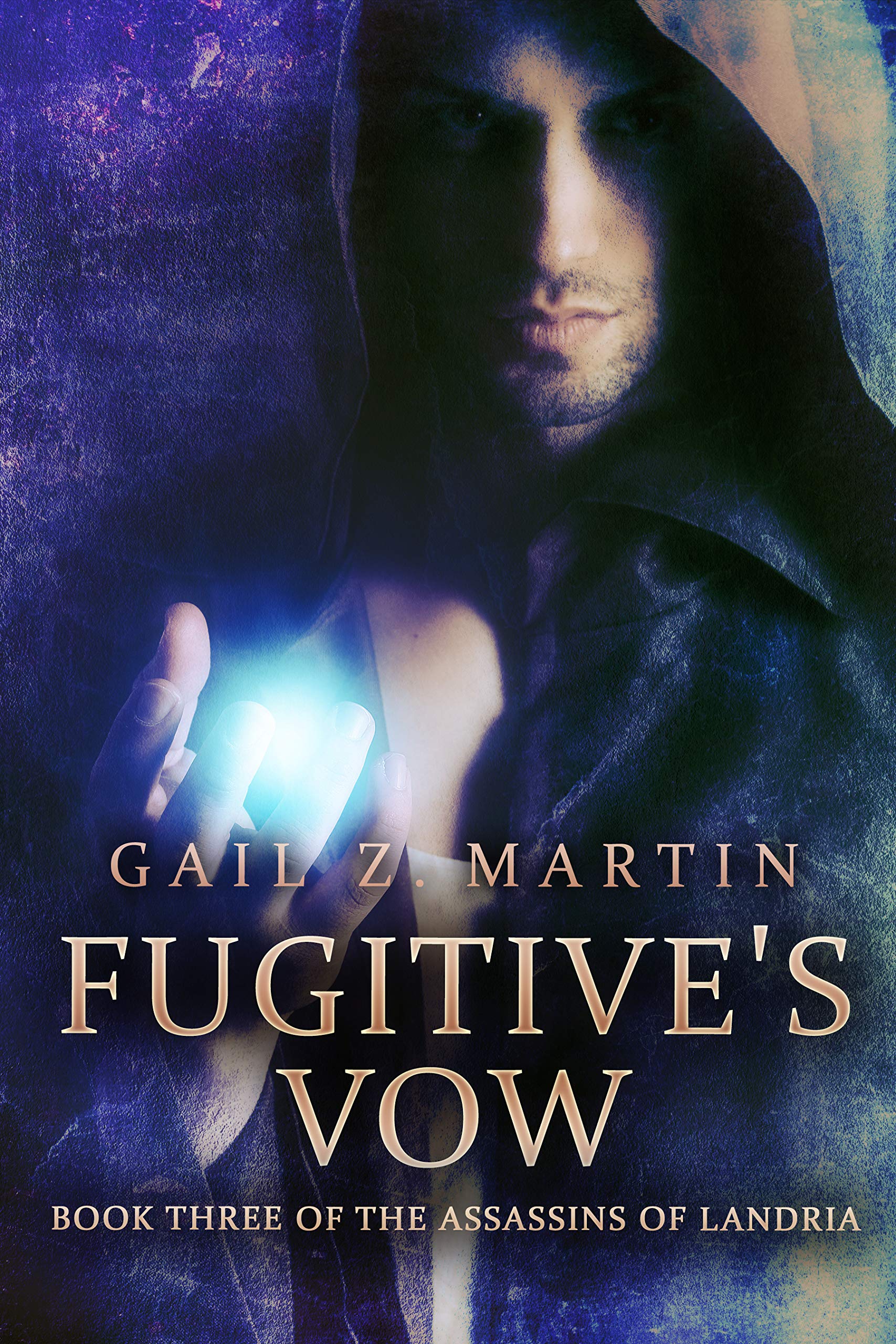 Assassins of Landria book cover 3