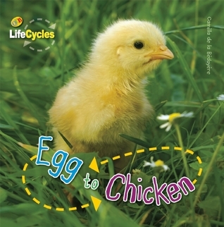 Egg to Chicken book cover