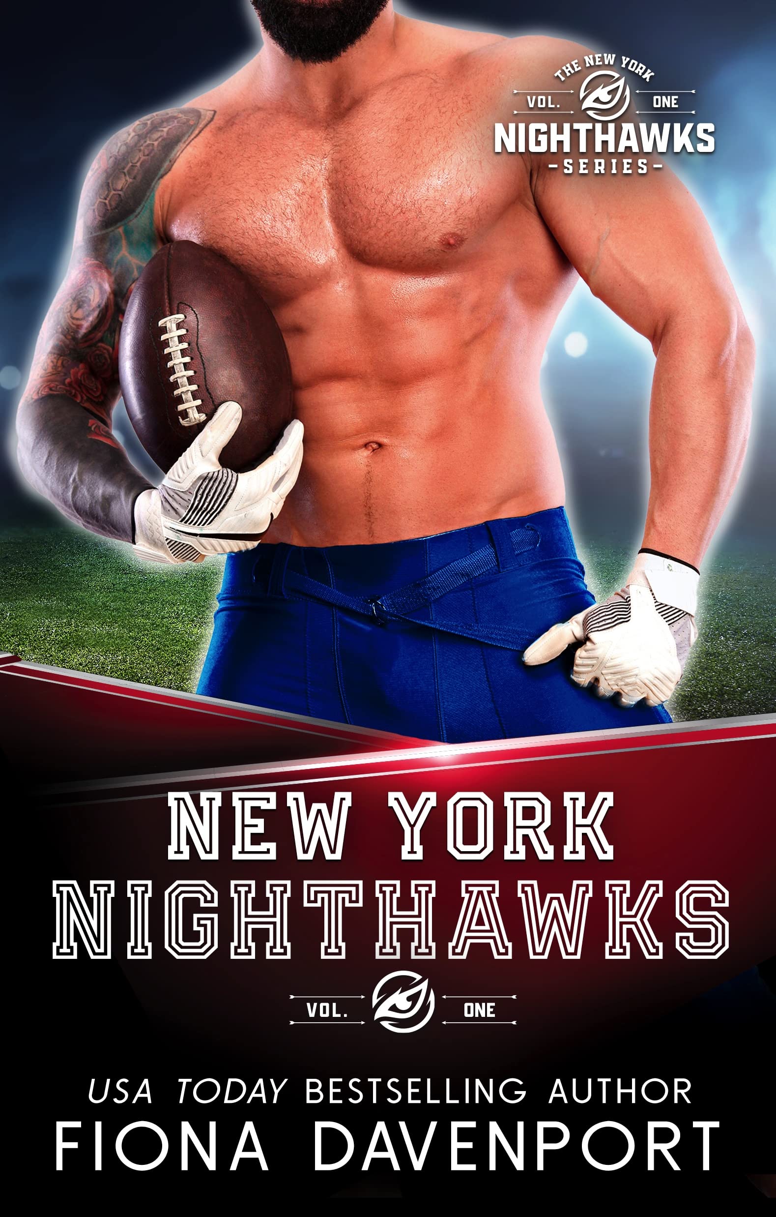 The New York Nighthawks Series book cover