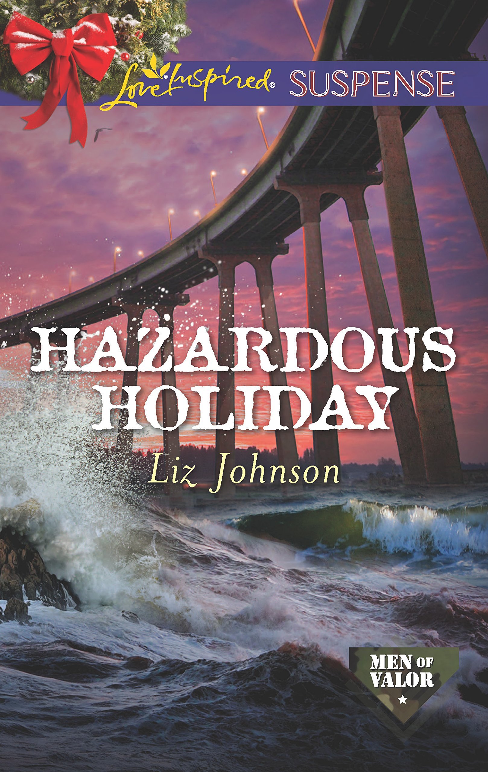Hazardous Holiday book cover