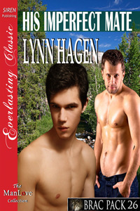 His Imperfect Mate book cover