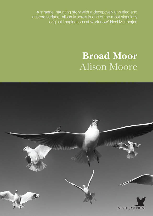 Broad Moor book cover