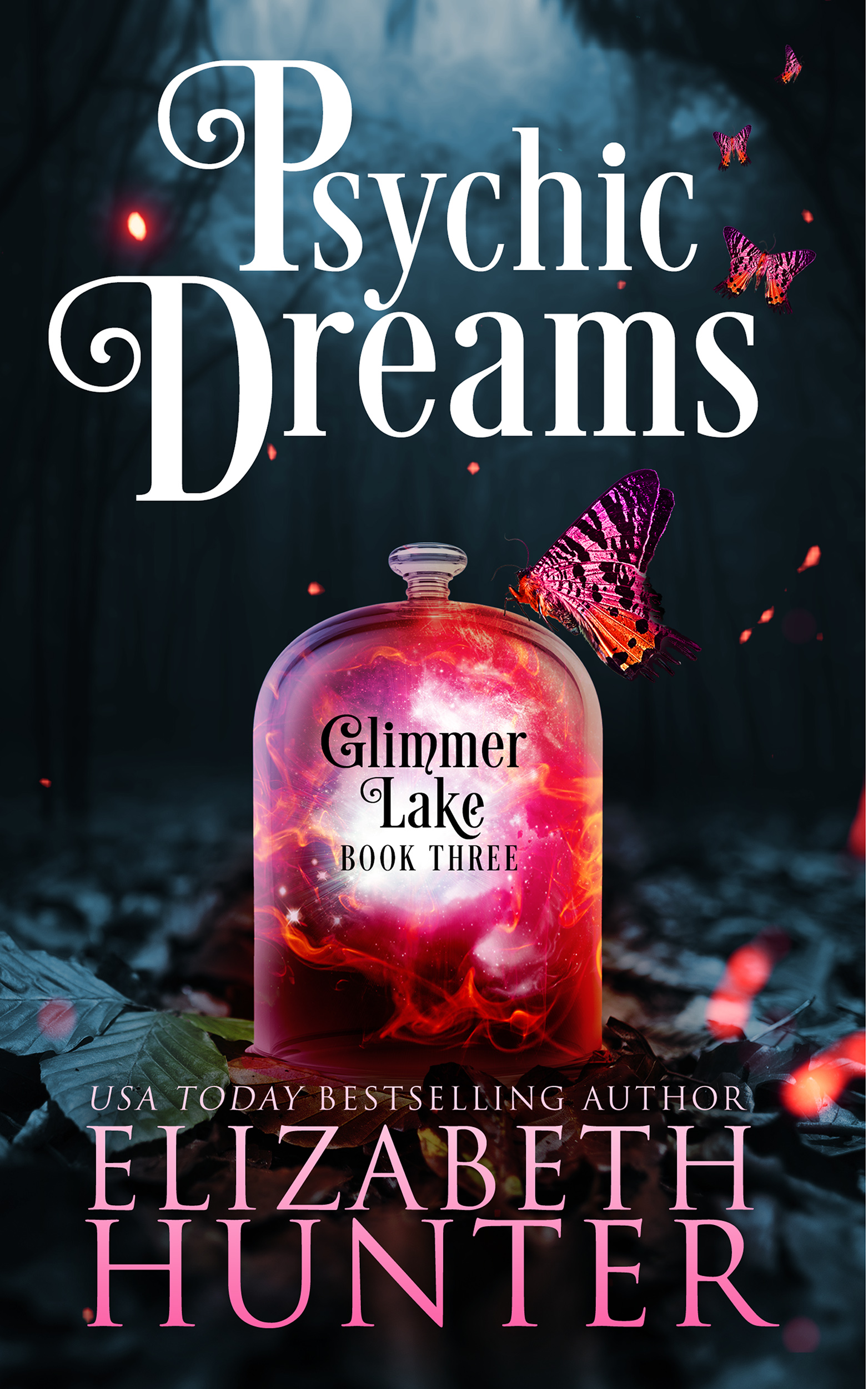 Glimmer Lake book cover 3