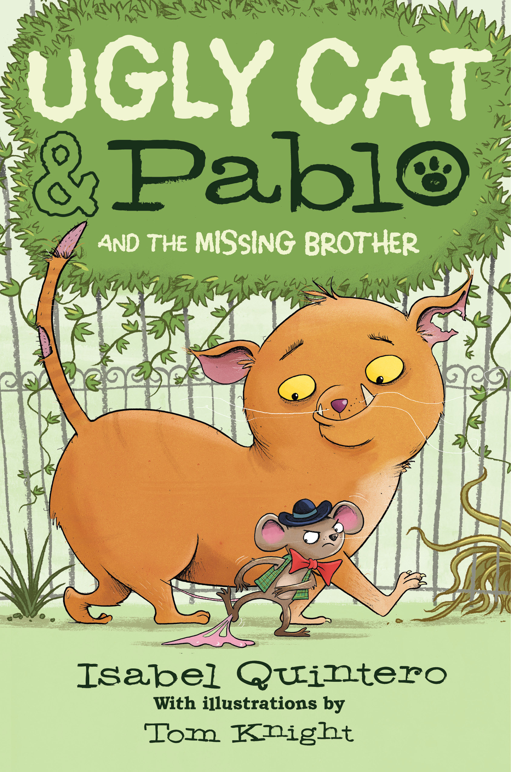 Ugly Cat & Pablo and the Missing Brother book cover