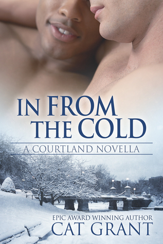 In from the Cold book cover