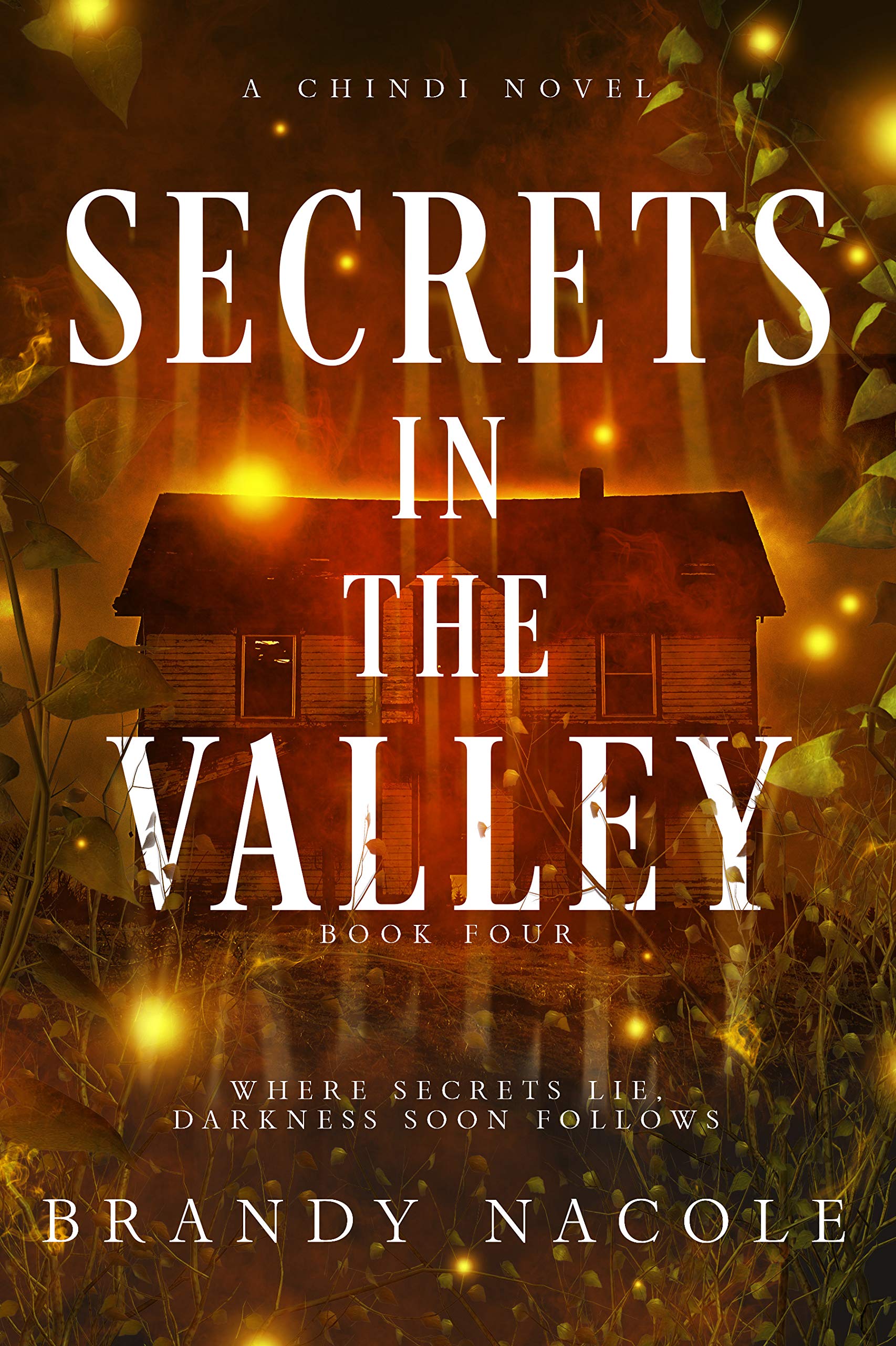 Secrets in the Valley book cover