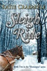 Homespun book cover 2