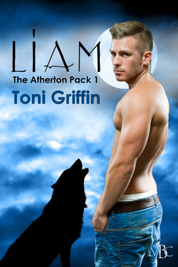 Liam book cover