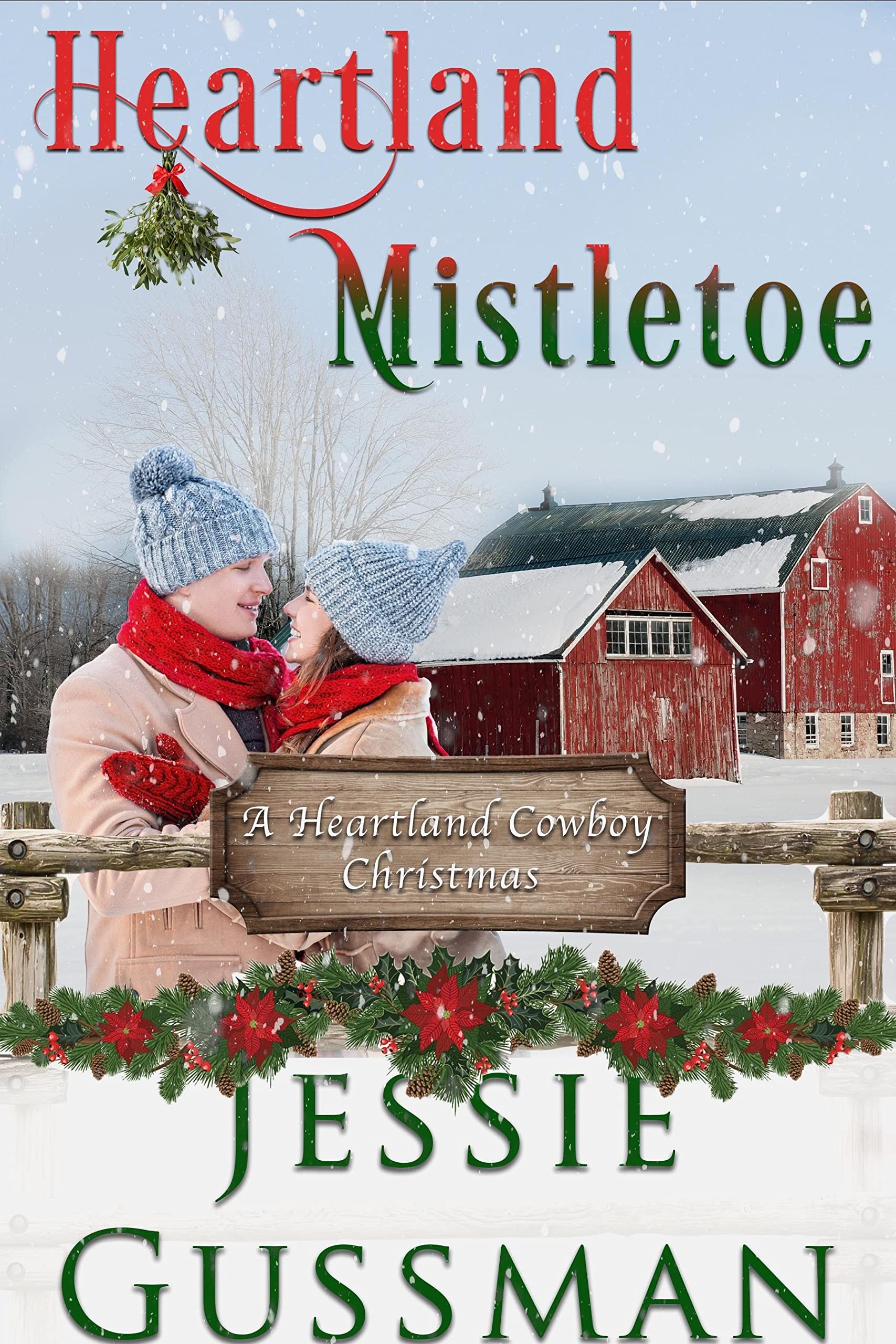 Mistaken Identity with the Heartland Cowboy book cover