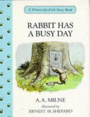 Rabbit Has A Busy Day book cover