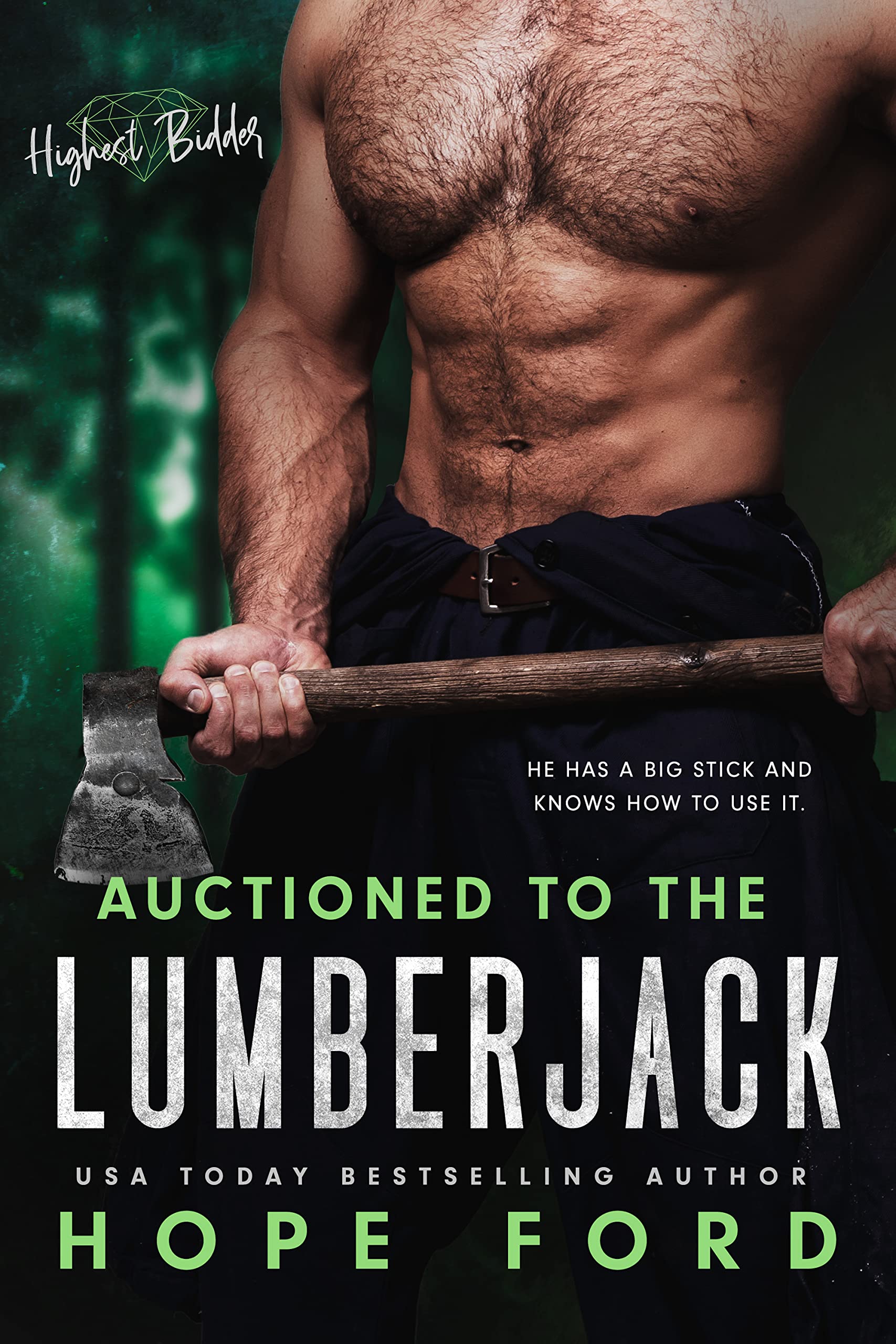 Highest Bidder book cover 3