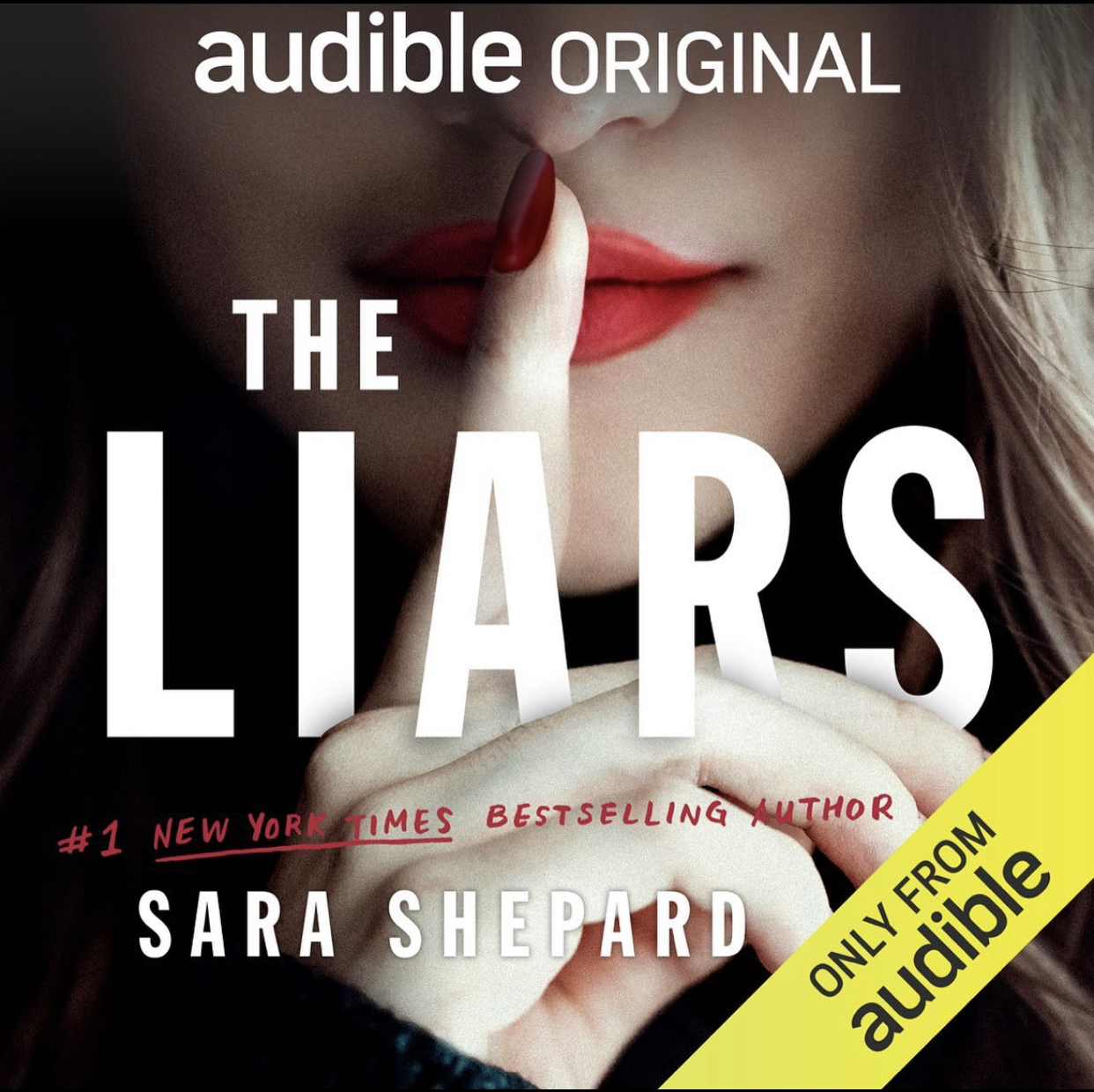 The Liars book cover