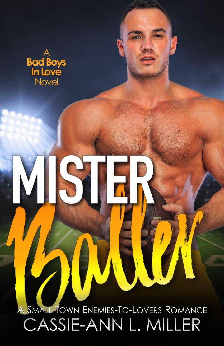Bad Boys In Love book cover 2