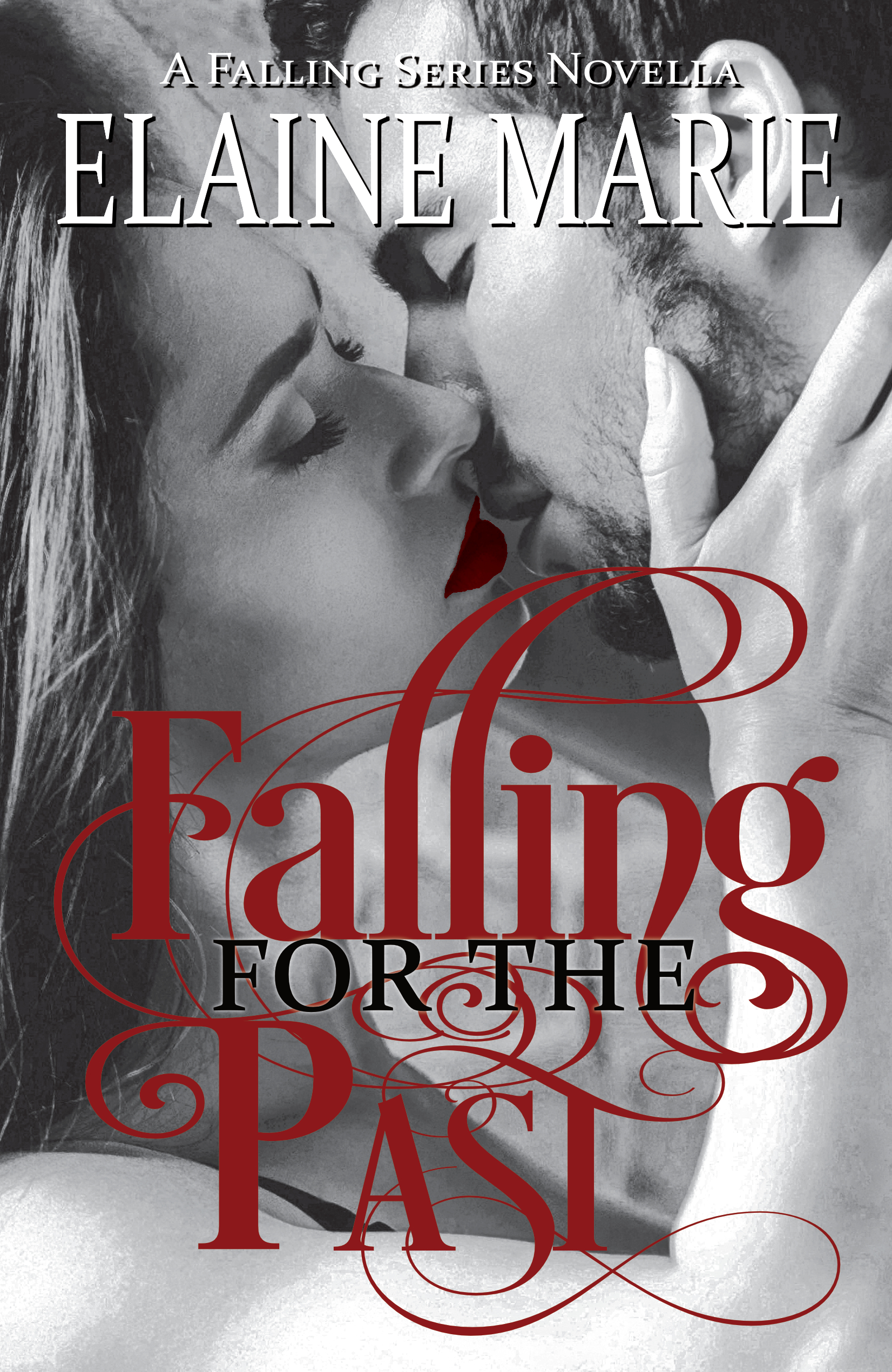 Falling For The Past book cover