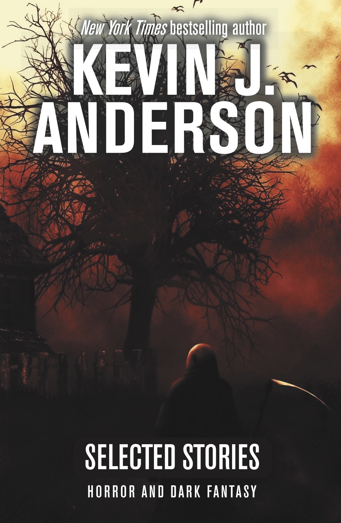 Selected Stories book cover