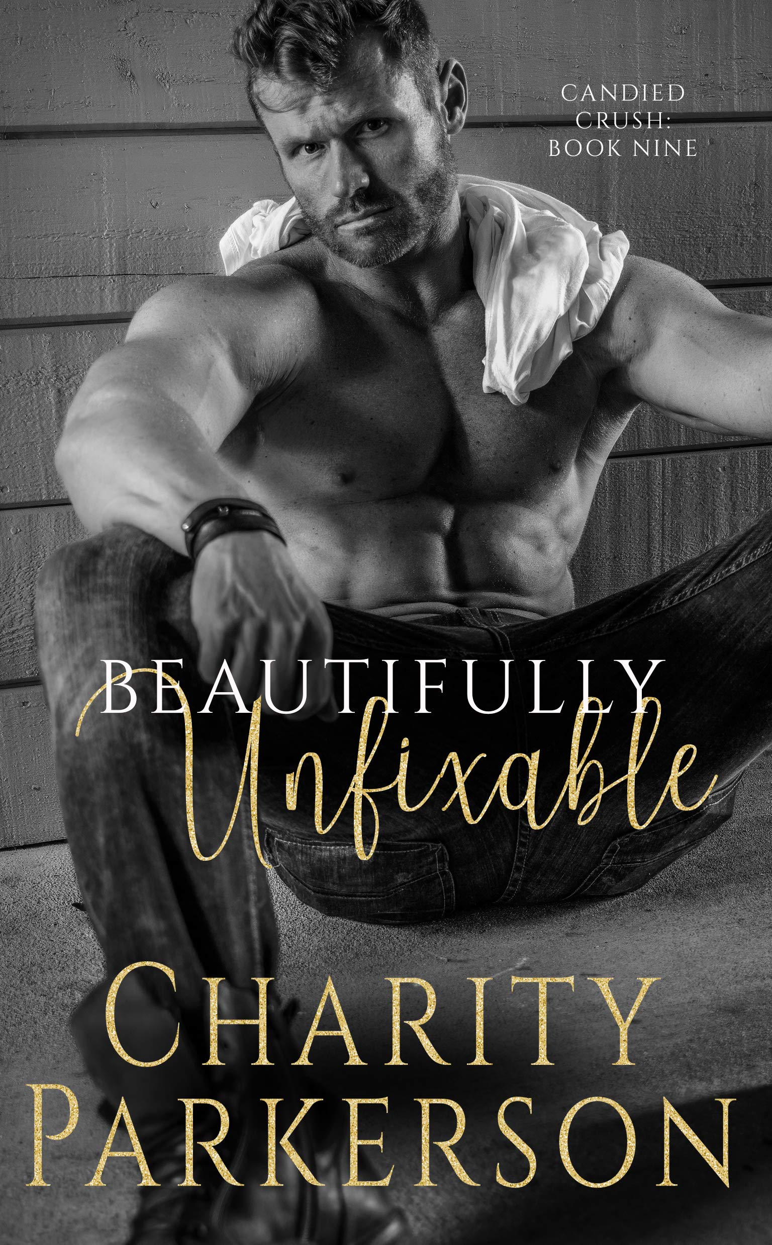 Beautifully Unfixable book cover