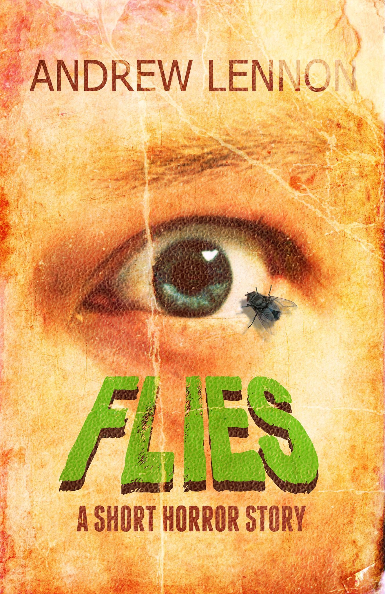 Flies book cover