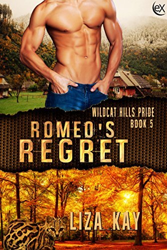 Romeo's Regret book cover