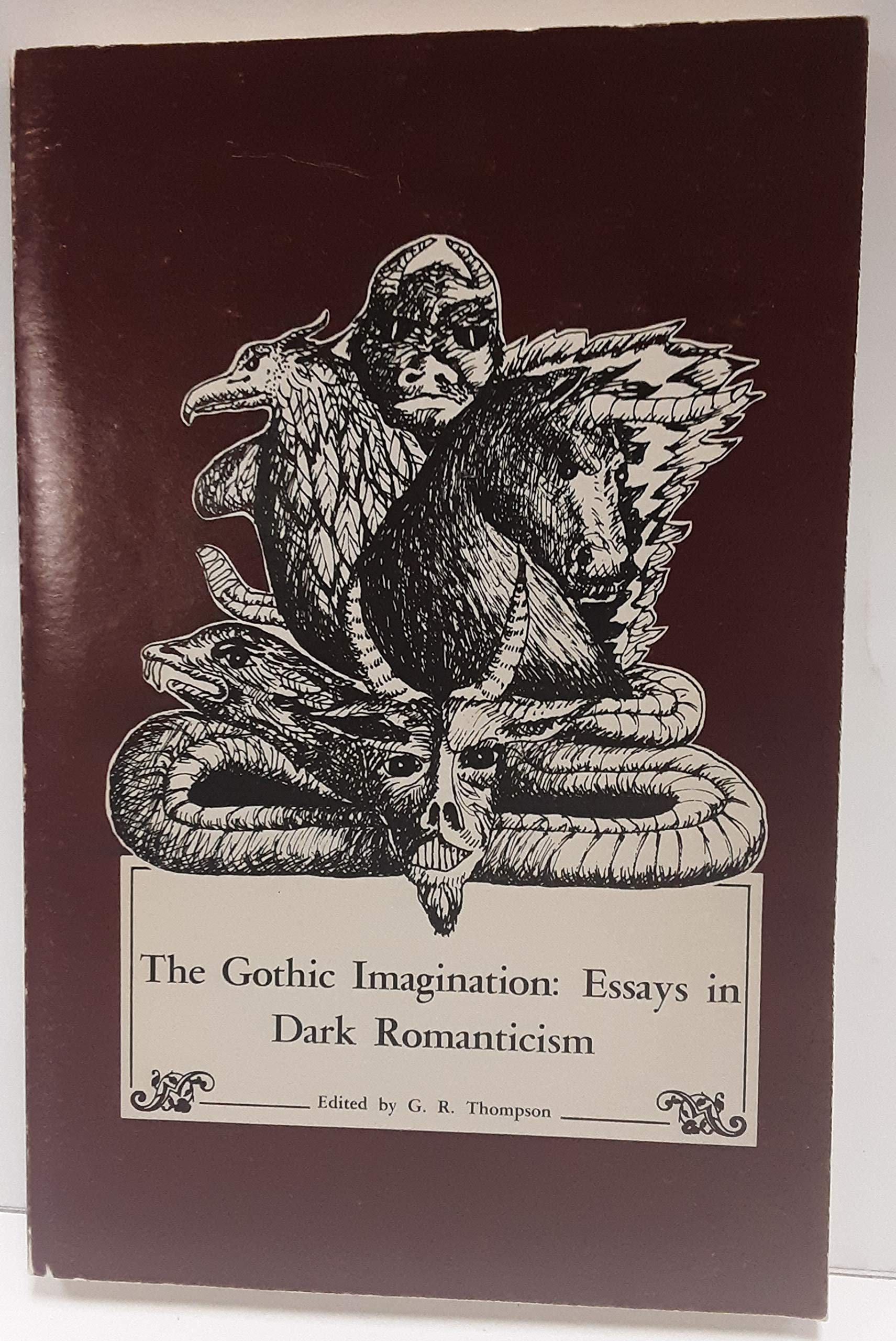 Gothic Imagination book cover