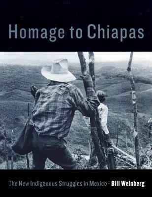 Homage to Chiapas book cover