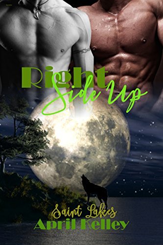 Saint Lakes book cover 3
